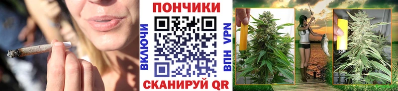 Где купить наркоту Моздок ГАШ Бошки Шишки Меф