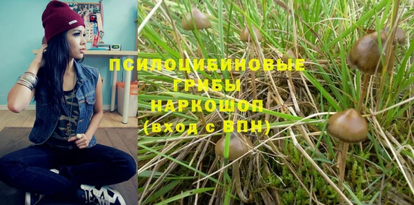 Альфа ПВП Алексеевка