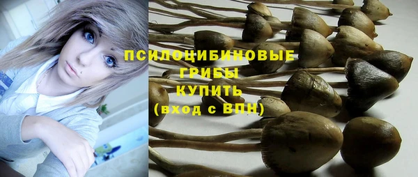 ГАЛЛЮЦИНОГЕННЫЕ ГРИБЫ Алексин