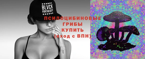 ГАЛЛЮЦИНОГЕННЫЕ ГРИБЫ Алексин