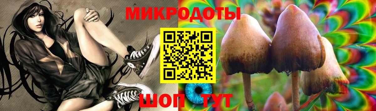 Галлюциногенные грибы MAGIC MUSHROOMS Моздок