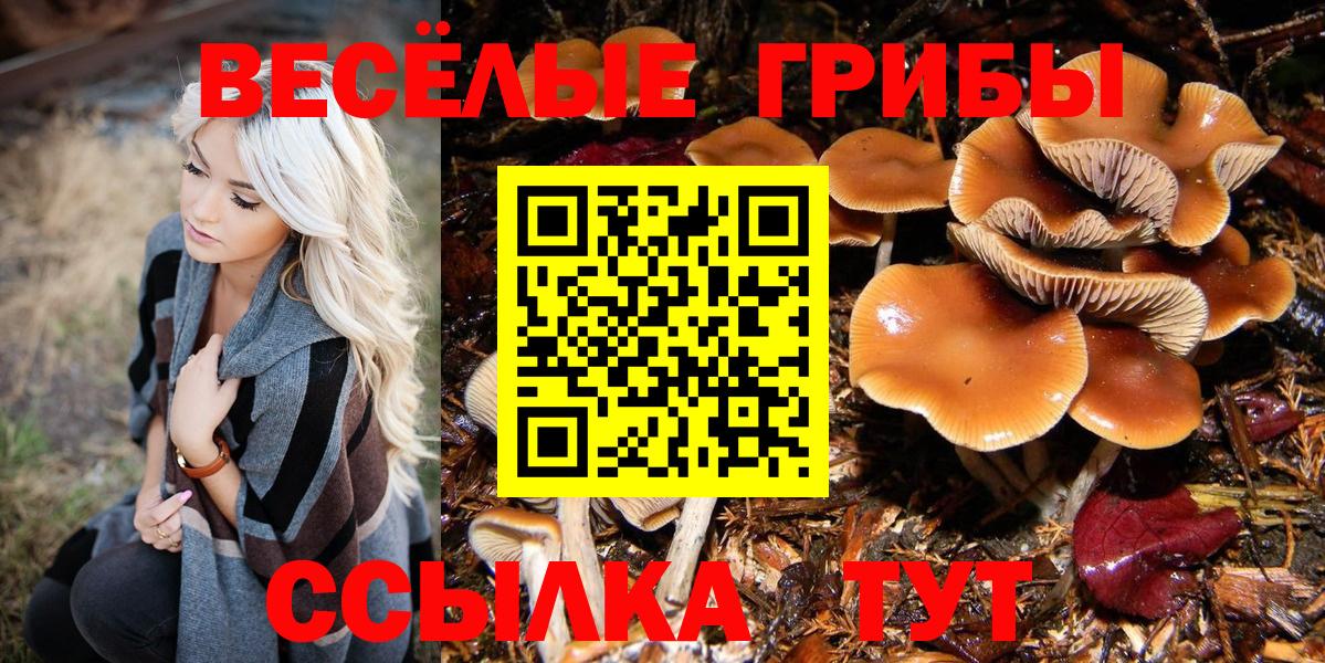 Моздок  Псилоцибиновые грибы Magic Shrooms  Вход с VPN 
